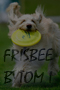 Fotografia sportowa - Frisbee Bytom
